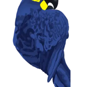 azul