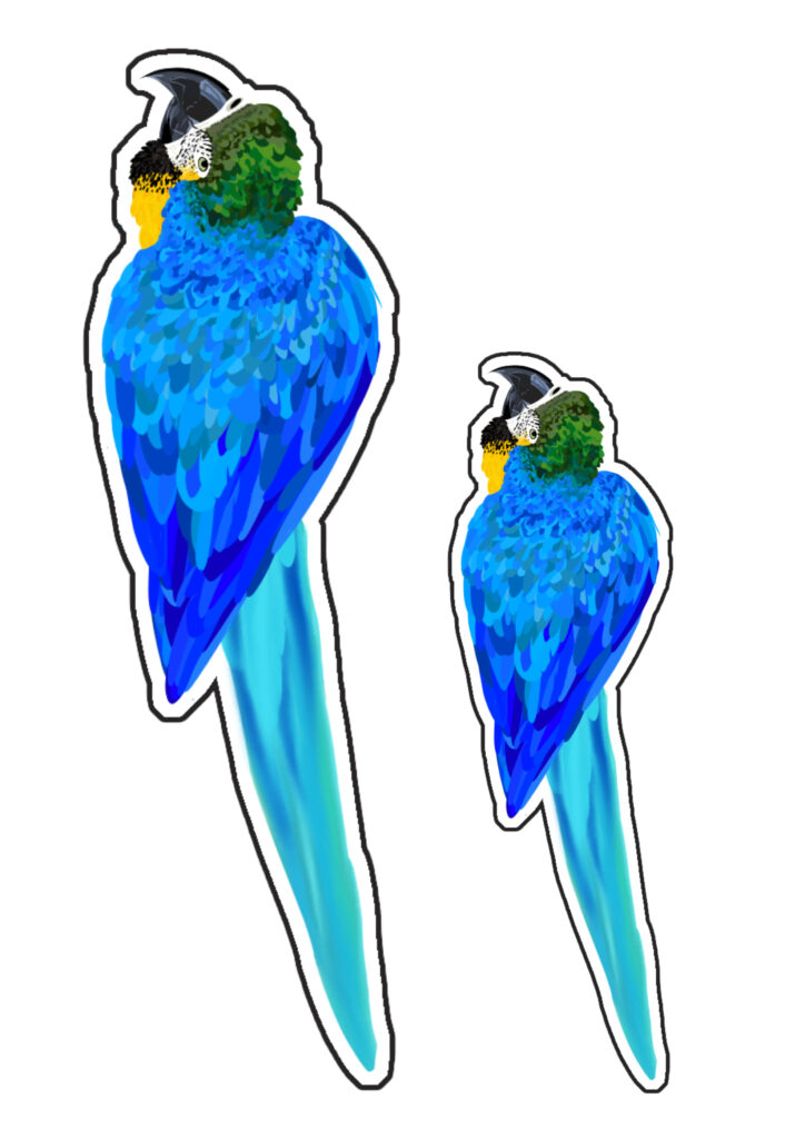 Shop arara azul (a. hyacinthinus)